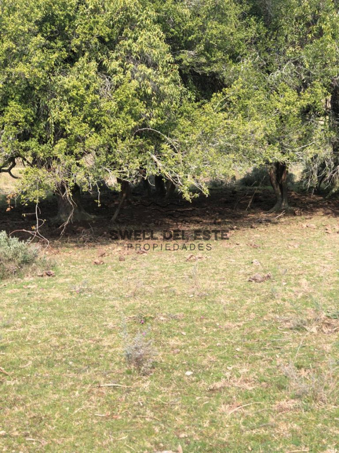 Chacra ID.6 - Chacra en Garzón 