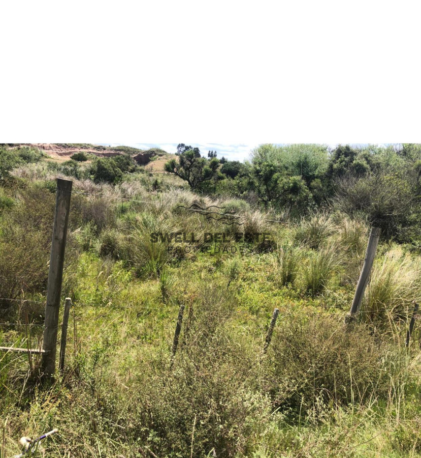 Chacra ID.6 - Chacra en Garzón 