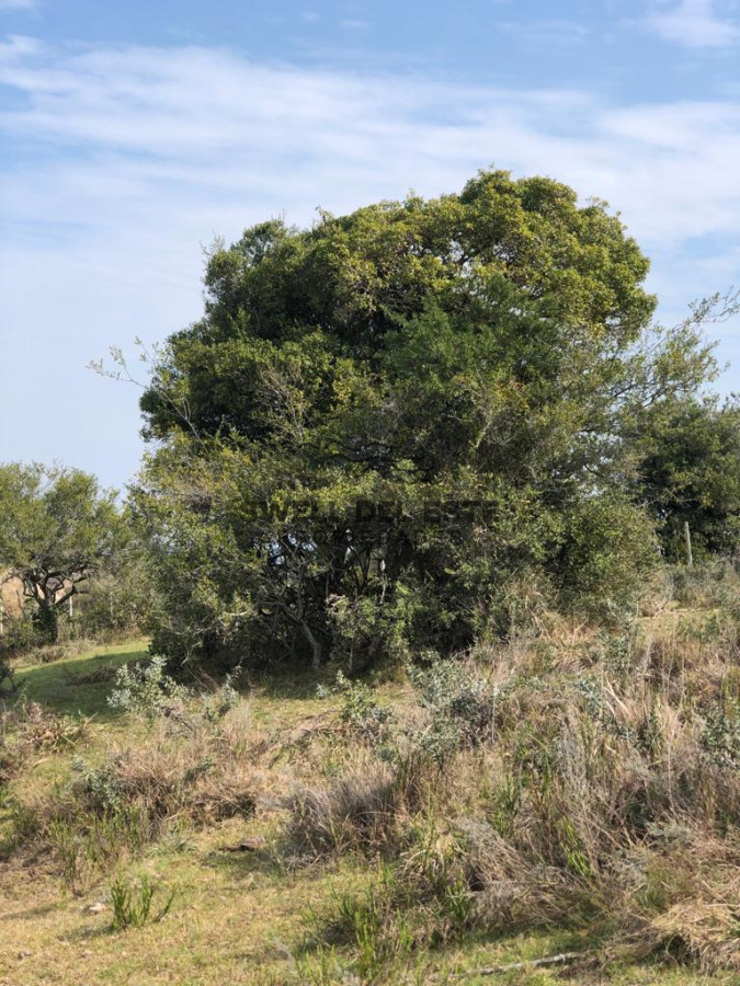 Chacra ID.6 - Chacra en Garzón 