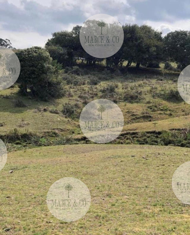Chacra ID.1171 - Chacra en Garzón 