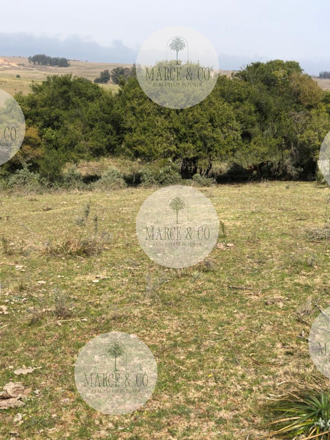 Chacra ID.1171 - Chacra en Garzón 