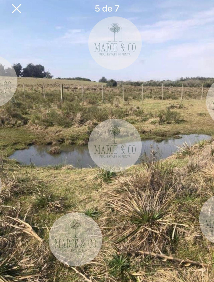 Chacra ID.1171 - Chacra en Garzón 