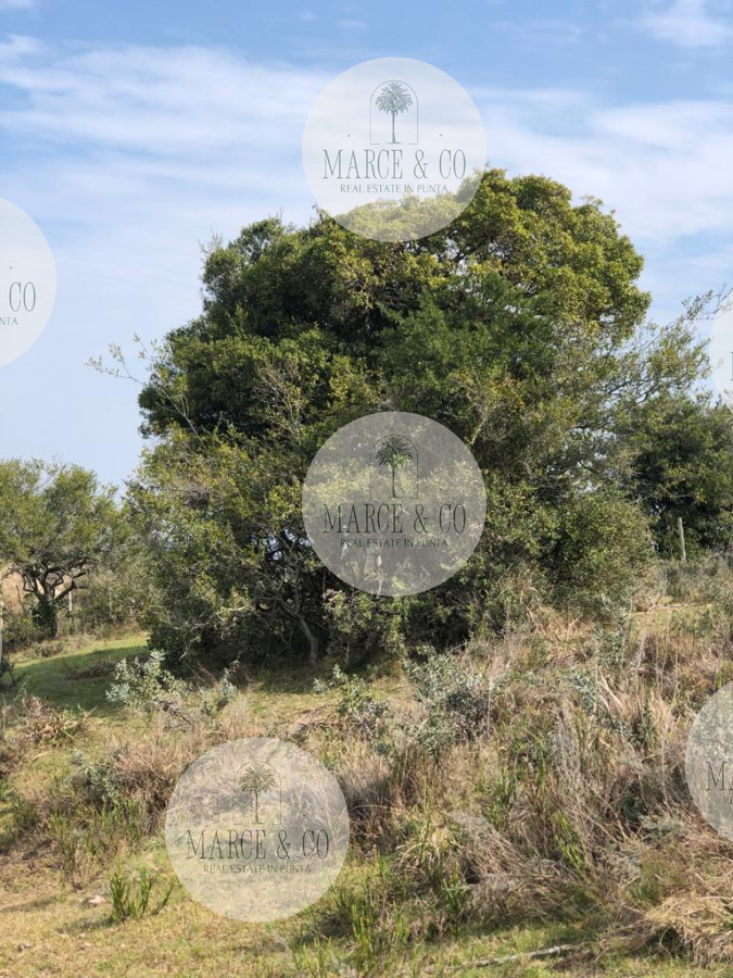 Chacra ID.1171 - Chacra en Garzón 