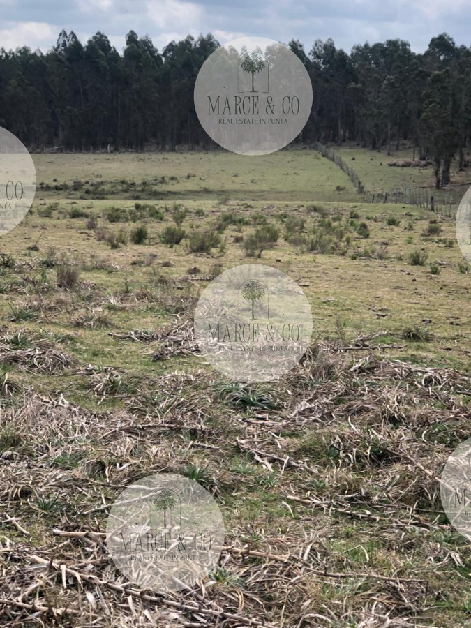 Chacra ID.1171 - Chacra en Garzón 