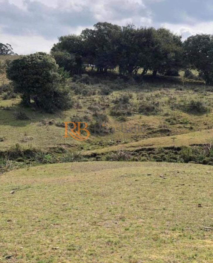 Chacra ID.87 - Chacra en Garzón 