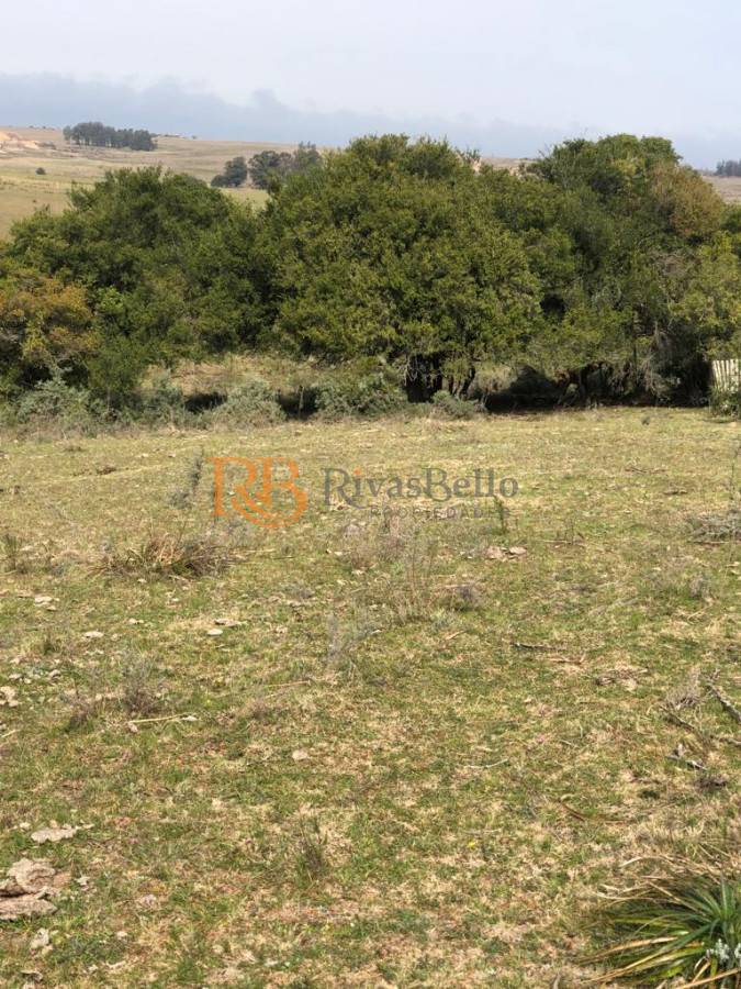 Chacra ID.87 - Chacra en Garzón 