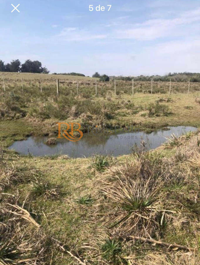 Chacra ID.87 - Chacra en Garzón 