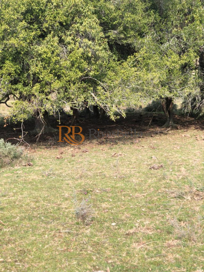 Chacra ID.87 - Chacra en Garzón 