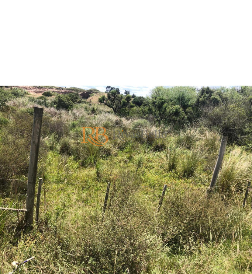 Chacra ID.87 - Chacra en Garzón 