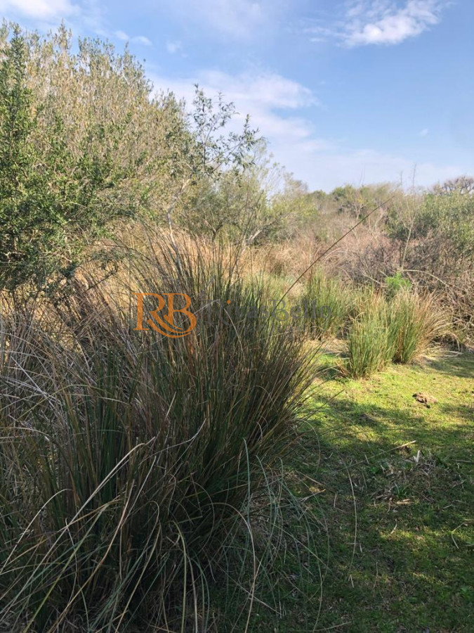 Chacra ID.87 - Chacra en Garzón 