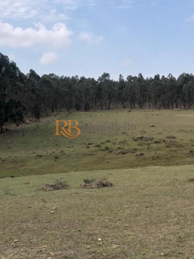 Chacra ID.87 - Chacra en Garzón 