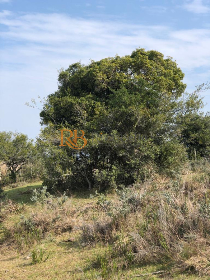 Chacra ID.87 - Chacra en Garzón 