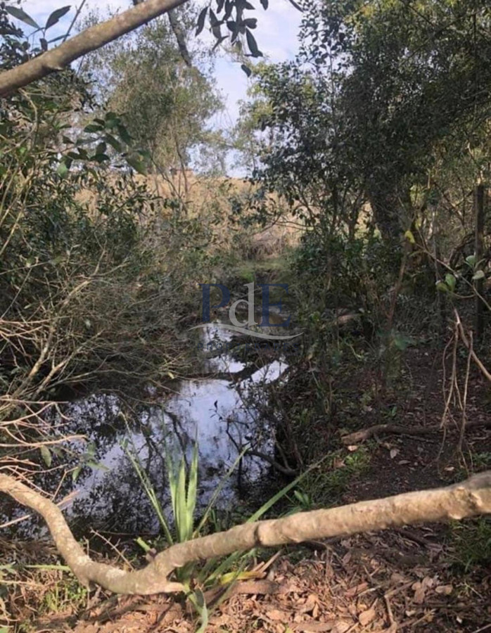 Venta Chacra, lote en Pueblo Garzón. - Imagen 19