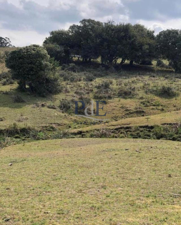 Venta Chacra, lote en Pueblo Garzón. - Imagen 7