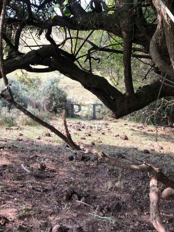 Venta Chacra, lote en Pueblo Garzón. - Imagen 12