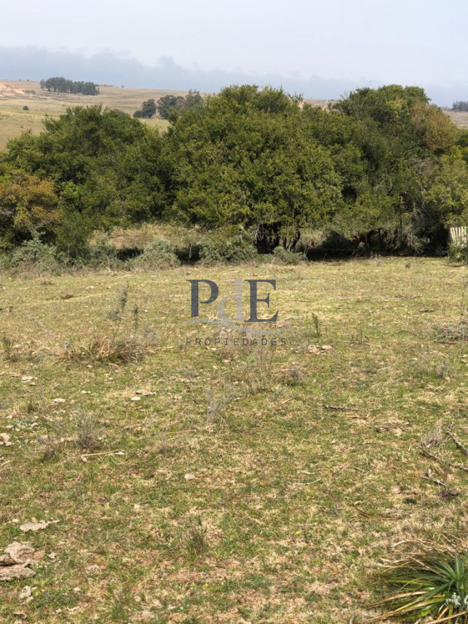 Venta Chacra, lote en Pueblo Garzón. - Imagen 15