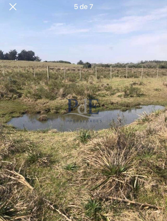 Venta Chacra, lote en Pueblo Garzón. - Imagen 4