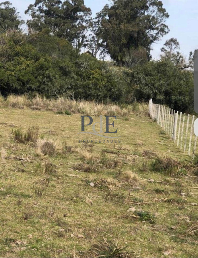 Venta Chacra, lote en Pueblo Garzón. - Imagen 21