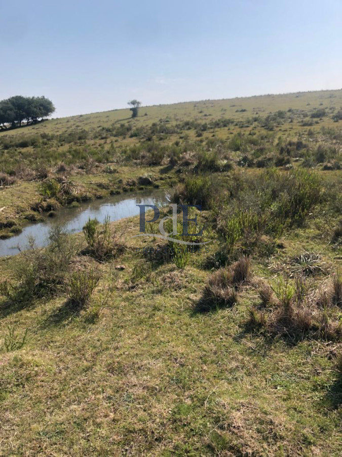 Venta Chacra, lote en Pueblo Garzón. - Imagen 2
