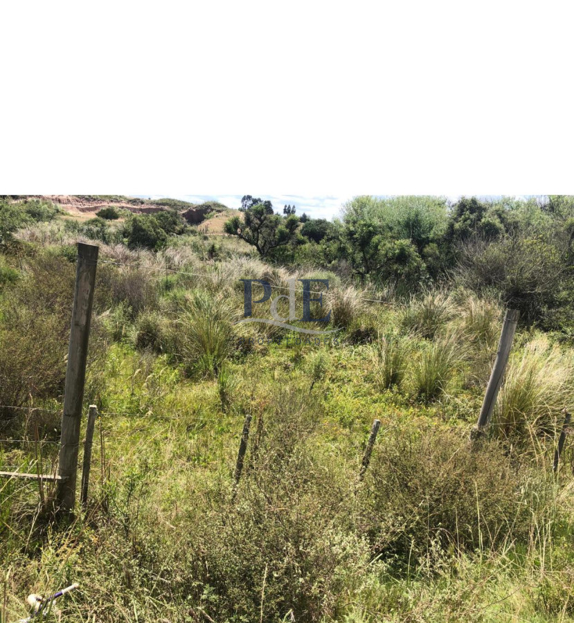 Venta Chacra, lote en Pueblo Garzón. - Imagen 18