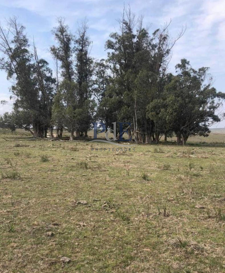 Venta Chacra, lote en Pueblo Garzón. - Imagen 6