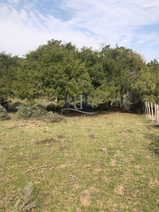 Venta Chacra, lote en Pueblo Garzón. - Imagen 11