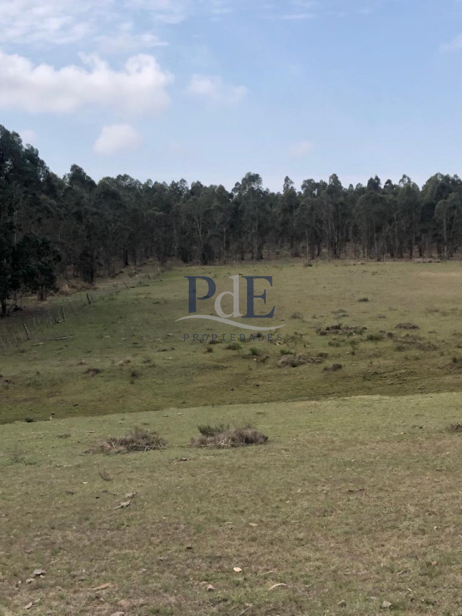 Venta Chacra, lote en Pueblo Garzón. - Imagen 16