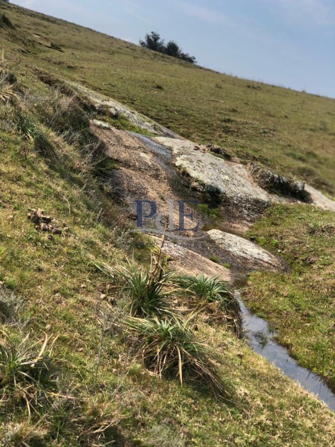 Venta Chacra, lote en Pueblo Garzón. - Imagen 9