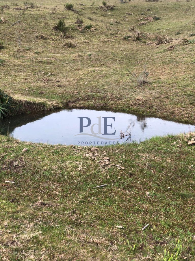 Venta Chacra, lote en Pueblo Garzón. - Imagen 1