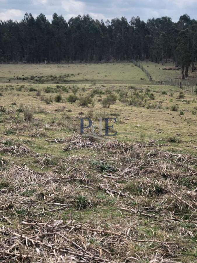 Venta Chacra, lote en Pueblo Garzón. - Imagen 14