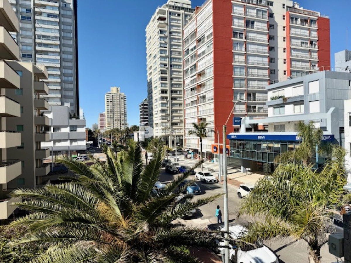 Península - GoPunta - Portal Inmobiliario de Punta del Este - Maldonado