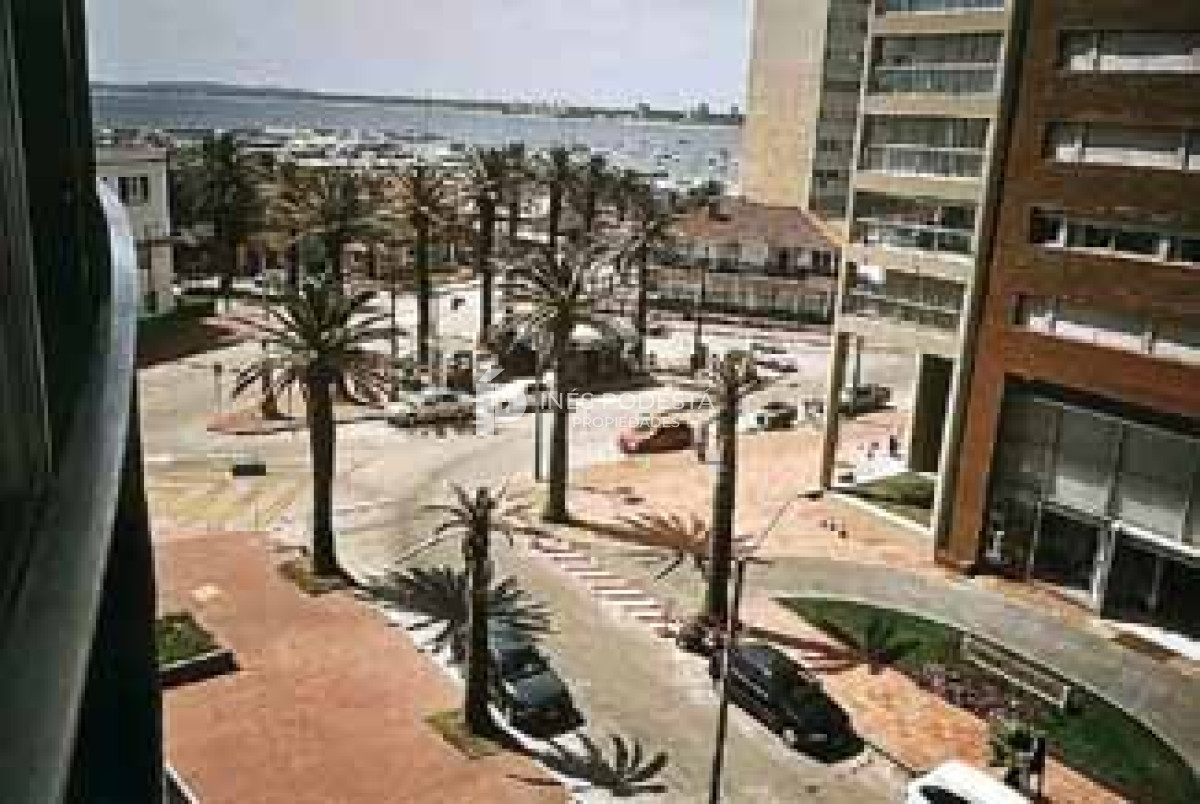 Apartamento ID.480 - Apartamento en Alquiler, Peninsula, Punta del Este, 1 Dormitorios.