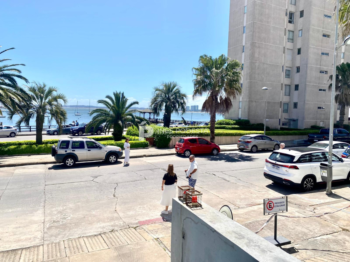 Puerto - GoPunta - Portal Inmobiliario de Punta del Este - Maldonado