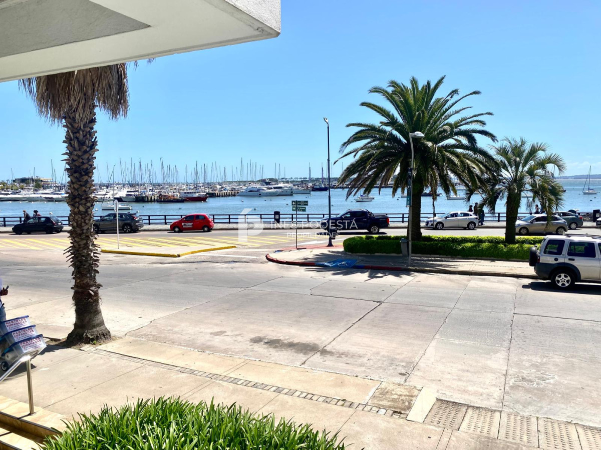Puerto - GoPunta - Portal Inmobiliario de Punta del Este - Maldonado