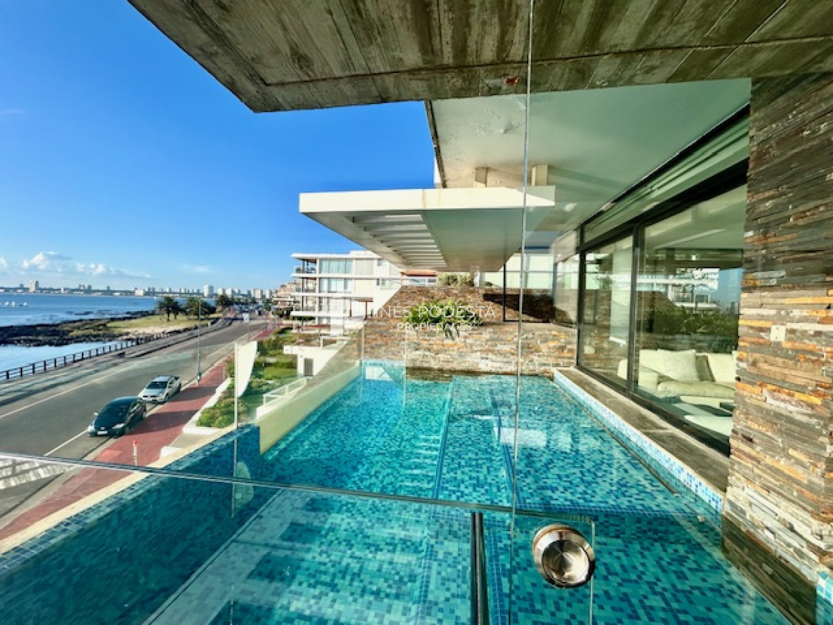 Puerto - GoPunta - Portal Inmobiliario de Punta del Este - Maldonado