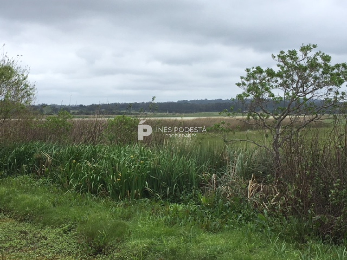 Laguna del Diario - GoPunta - Portal Inmobiliario de Punta del Este - Maldonado