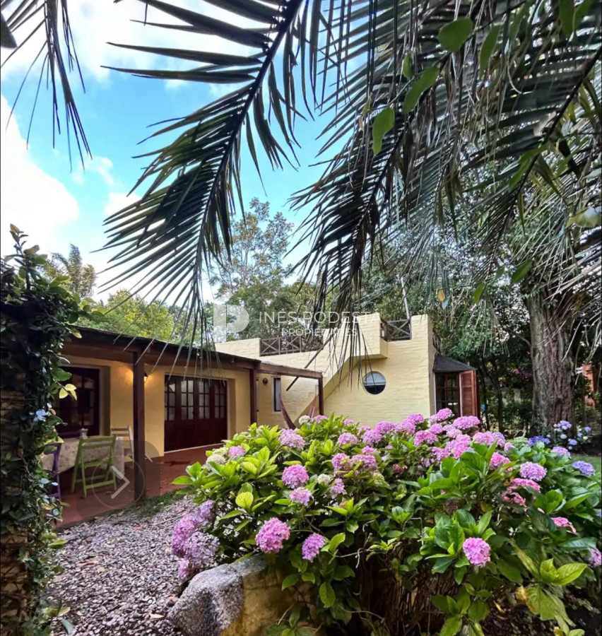 Pinares - GoPunta - Portal Inmobiliario de Punta del Este - Maldonado