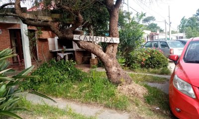 CASA PH ENTRE AIDY GRILL Y LOS ANGELES