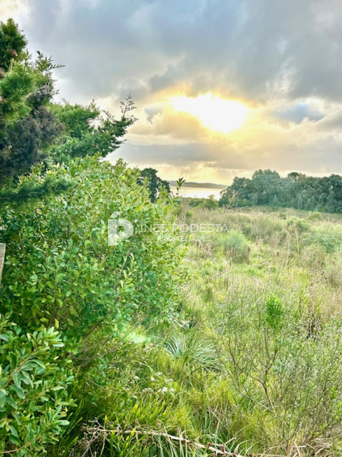 Venta lote 5 hectáreas sobre Laguna del Sauce