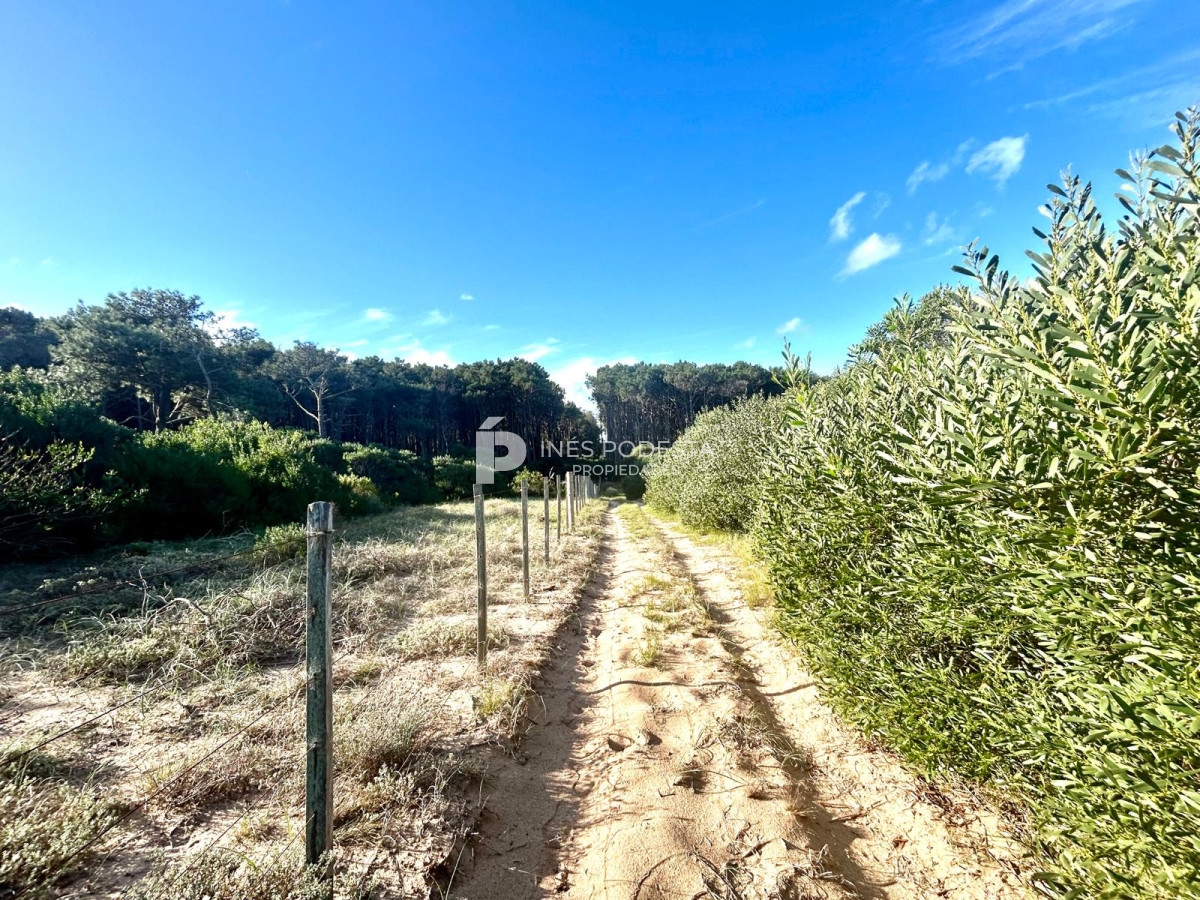 La Carolina - GoPunta - Portal Inmobiliario de Punta del Este - Maldonado