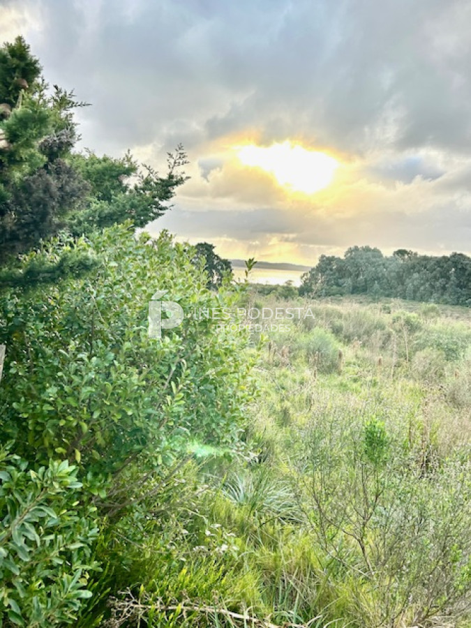 Laguna del Sauce - GoPunta - Portal Inmobiliario de Punta del Este - Maldonado