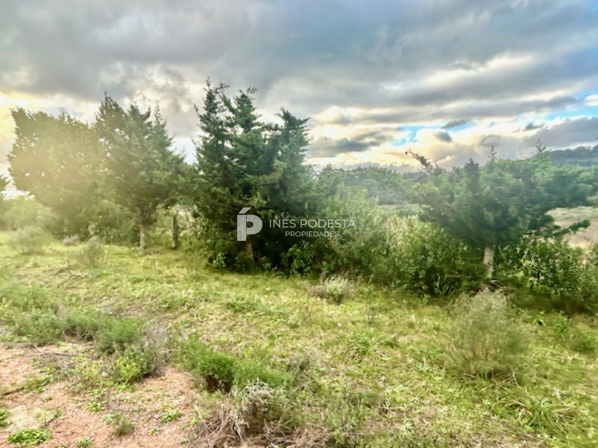Laguna del Sauce - GoPunta - Portal Inmobiliario de Punta del Este - Maldonado