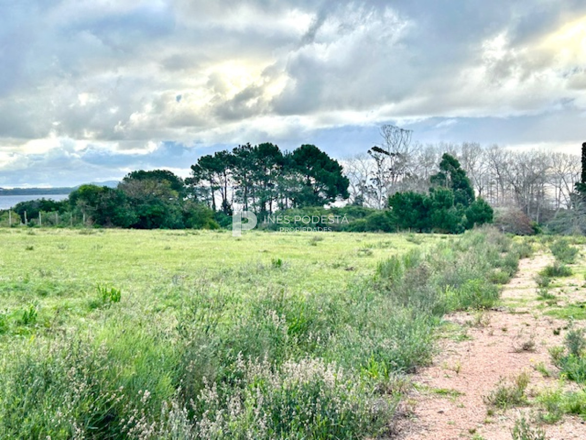Laguna del Sauce - GoPunta - Portal Inmobiliario de Punta del Este - Maldonado