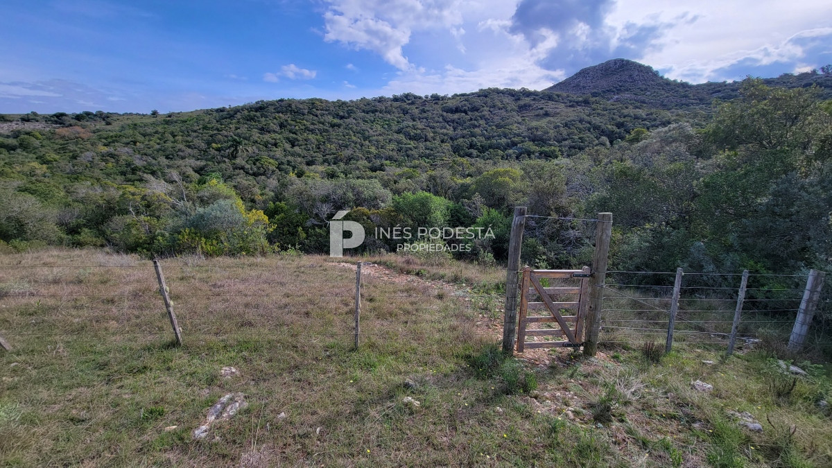 Chacra ID.39998 - Venta chacra  sobre ruta 12, Pueblo Eden