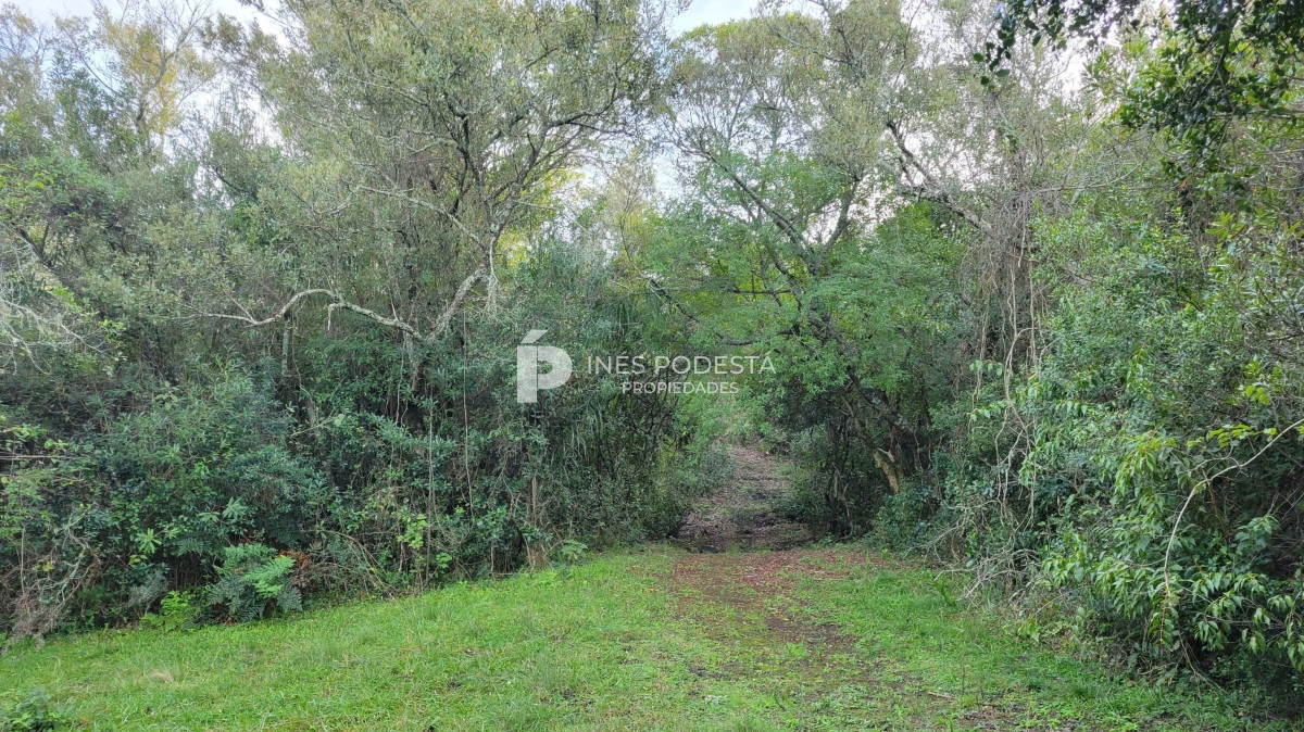 Chacra ID.39998 - Venta chacra  sobre ruta 12, Pueblo Eden