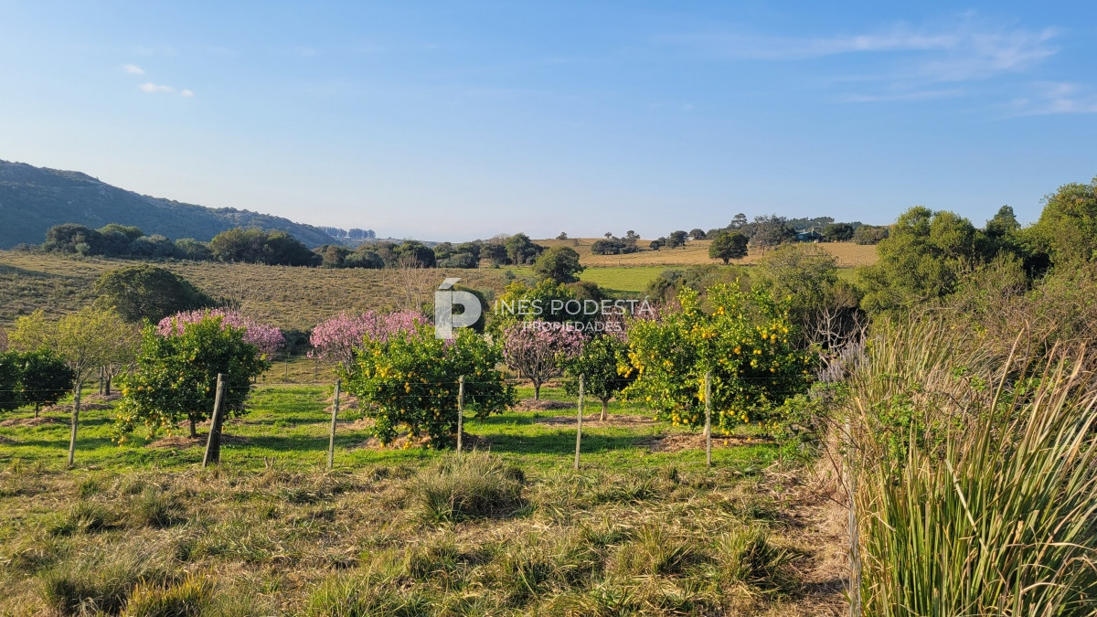 Chacra ID.39998 - Venta chacra  sobre ruta 12, Pueblo Eden