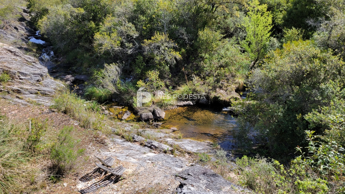 Chacra ID.39998 - Venta chacra  sobre ruta 12, Pueblo Eden