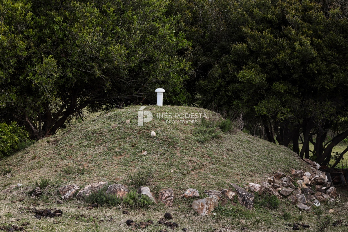 Chacra ID.39998 - Venta chacra  sobre ruta 12, Pueblo Eden