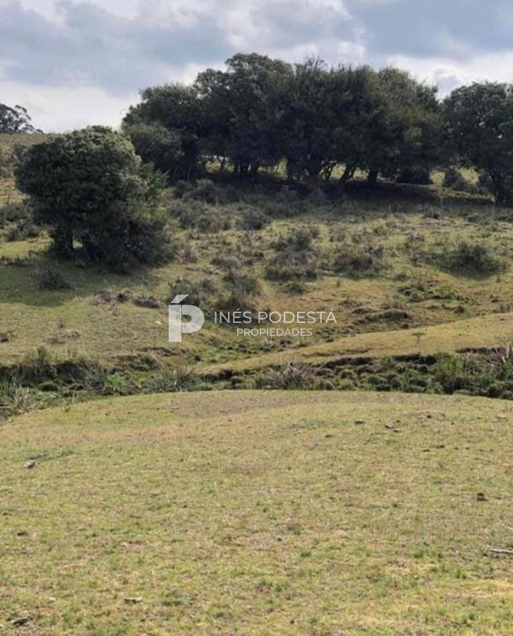 Garzon - GoPunta - Portal Inmobiliario de Punta del Este - Maldonado