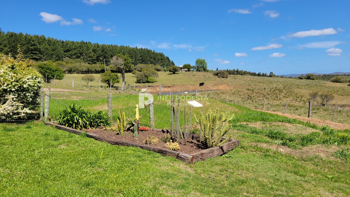 Chacra ID.39998 - Venta chacra  sobre ruta 12, Pueblo Eden